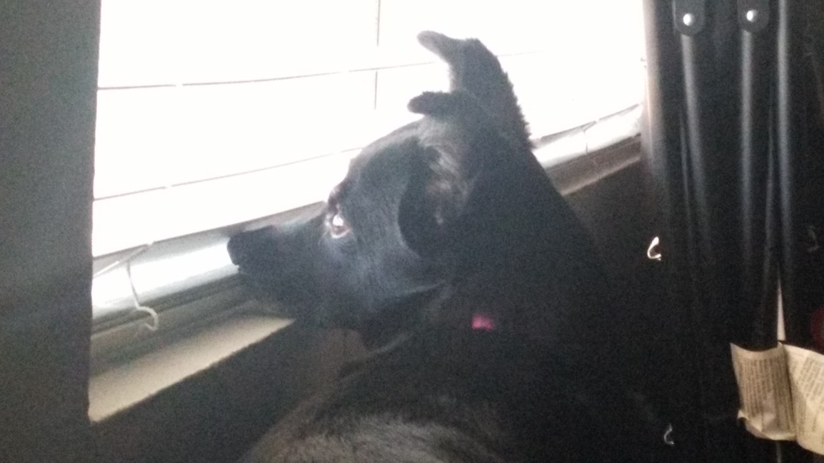 IMG_20170709_155720_001_COVER[1]